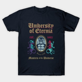 MSc in Universe Model 16 T-Shirt